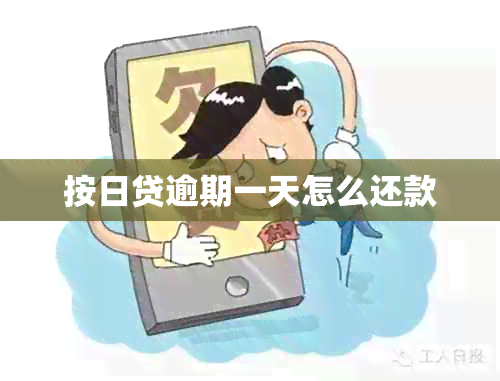 按日贷逾期一天怎么还款