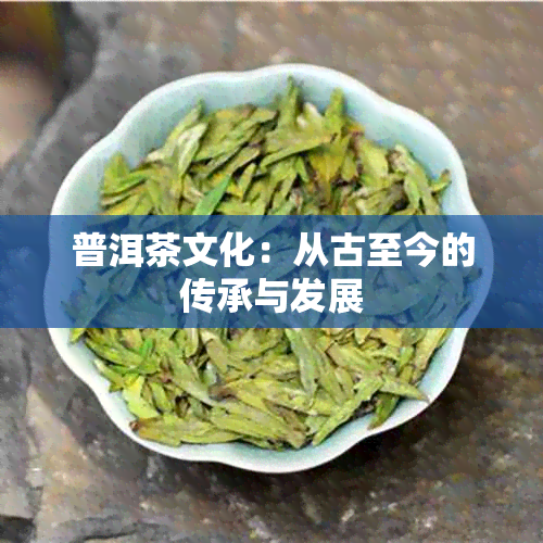 普洱茶文化：从古至今的传承与发展