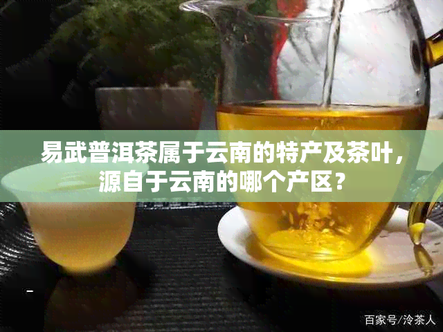 易武普洱茶属于云南的特产及茶叶，源自于云南的哪个产区？