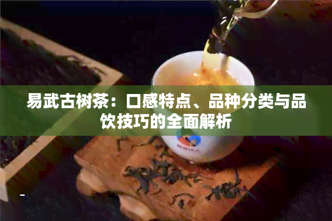 易武古树茶：口感特点、品种分类与品饮技巧的全面解析