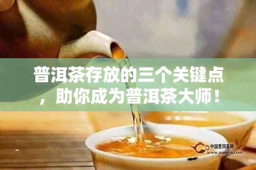 普洱茶存放的三个关键点，助你成为普洱茶大师！