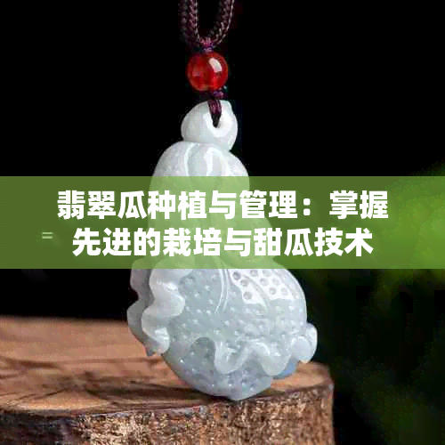 翡翠瓜种植与管理：掌握先进的栽培与甜瓜技术