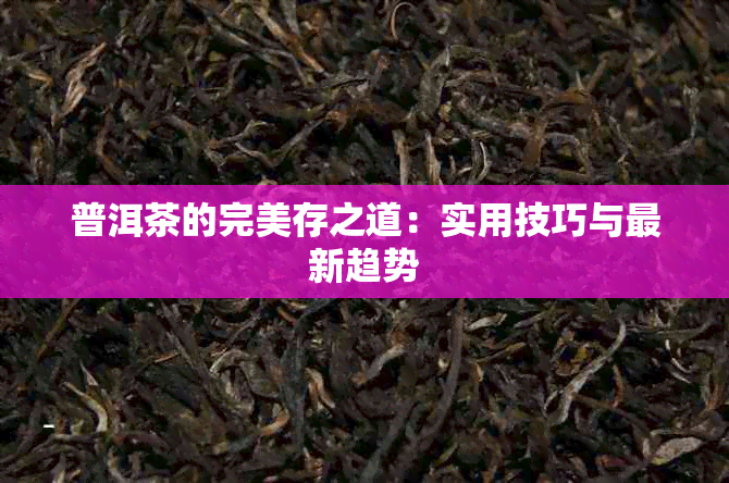 普洱茶的完美存之道：实用技巧与最新趋势