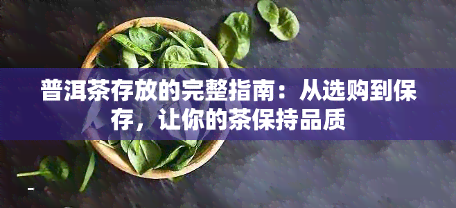 普洱茶存放的完整指南：从选购到保存，让你的茶保持品质