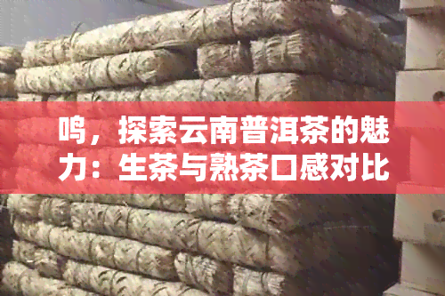 鸣，探索云南普洱茶的魅力：生茶与熟茶口感对比研究