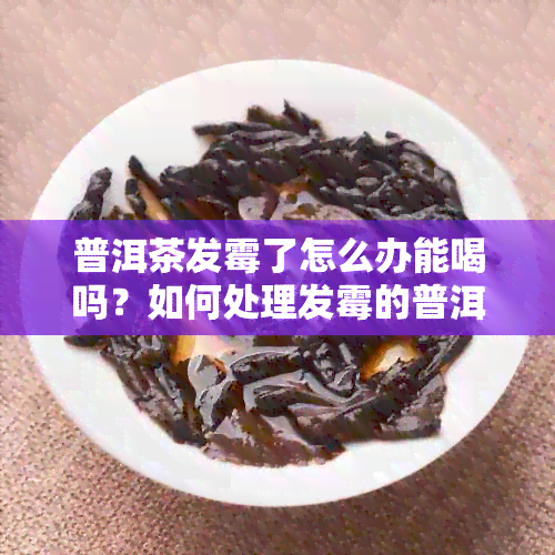 普洱茶发霉了怎么办能喝吗？如何处理发霉的普洱茶？