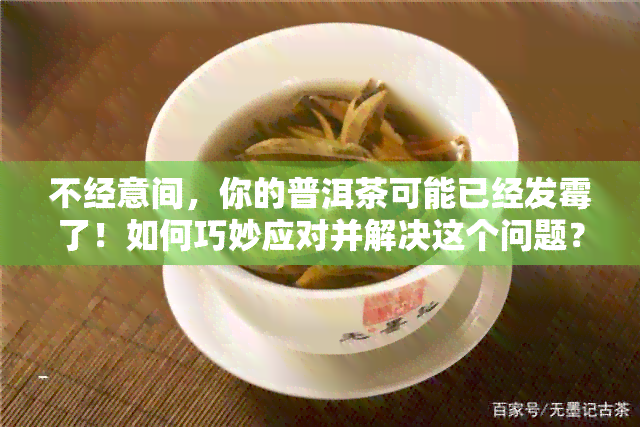 不经意间，你的普洱茶可能已经发霉了！如何巧妙应对并解决这个问题？