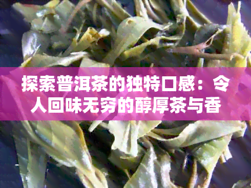 探索普洱茶的独特口感：令人回味无穷的醇厚茶与香气