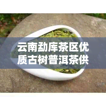 云南勐库茶区优质古树普洱茶供应及价格分析，助力批发采购与推广