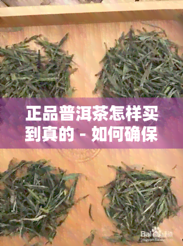 正品普洱茶怎样买到真的 - 如何确保购买到真正的普洱茶和茶叶