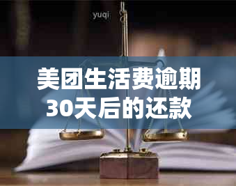 美团生活费逾期30天后的还款处理方式：会不会要求一次性还清？