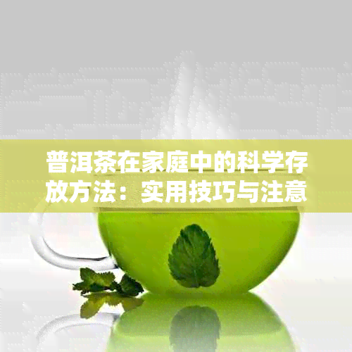 普洱茶在家庭中的科学存放方法：实用技巧与注意事项