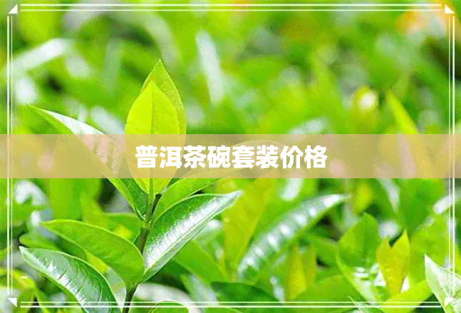 普洱茶碗套装价格