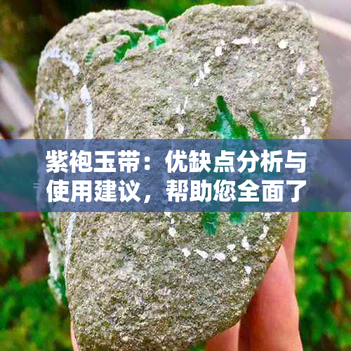 紫袍玉带：优缺点分析与使用建议，帮助您全面了解其特性和适用场景