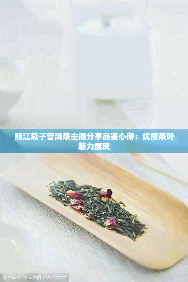 丽江燕子普洱茶主播分享品鉴心得：优质茶叶魅力展现