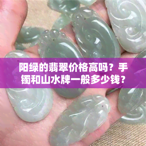 阳绿的翡翠价格高吗？手镯和山水牌一般多少钱？