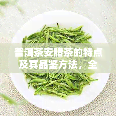 普洱茶安腊茶的特点及其品鉴方法，全面了解这款茶叶的魅力