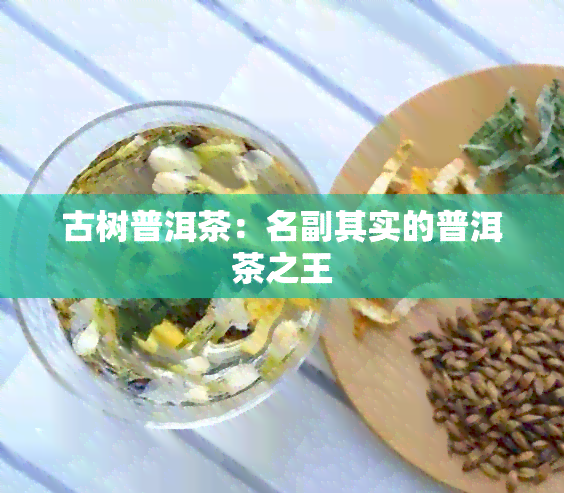 古树普洱茶：名副其实的普洱茶之王