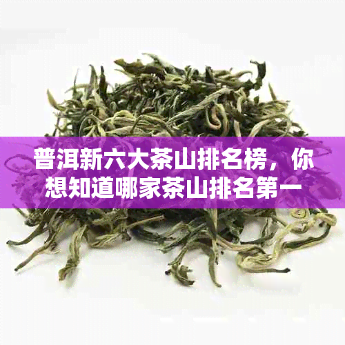 普洱新六大茶山排名榜，你想知道哪家茶山排名之一吗？