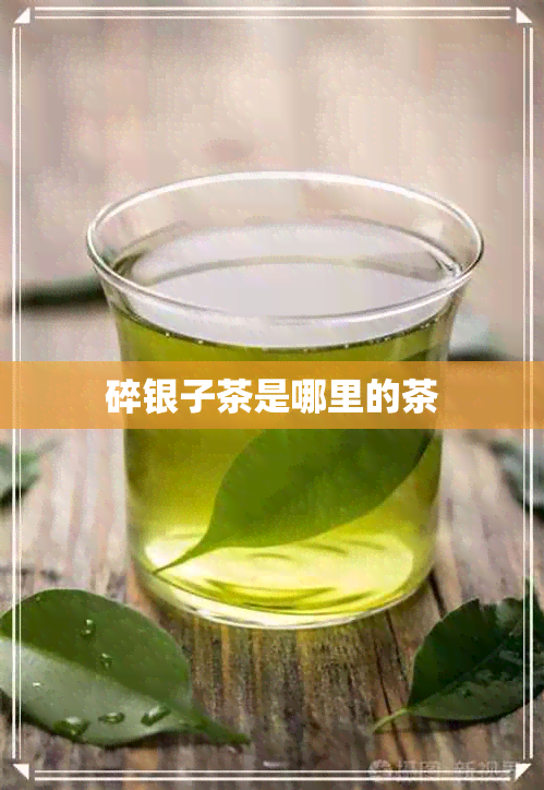 碎银子茶是哪里的茶