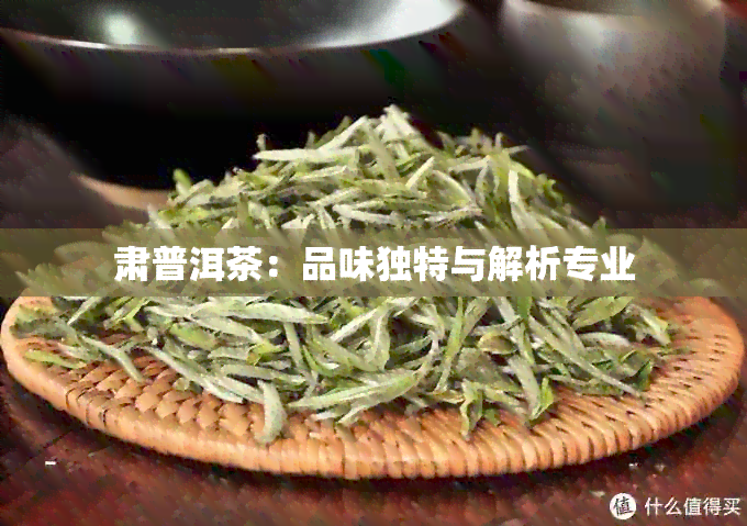 肃普洱茶：品味独特与解析专业