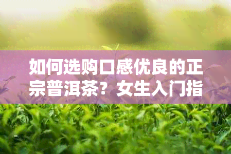 如何选购口感优良的正宗普洱茶？女生入门指南