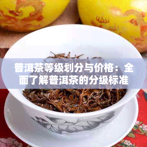 普洱茶等级划分与价格：全面了解普洱茶的分级标准和价格区间