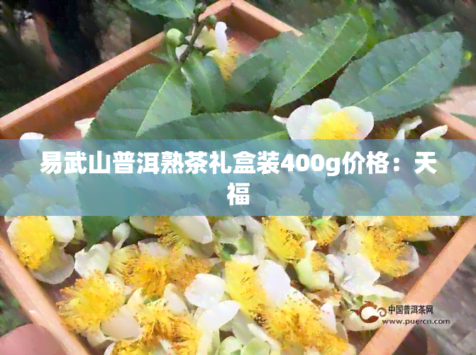 易武山普洱熟茶礼盒装400g价格：天福