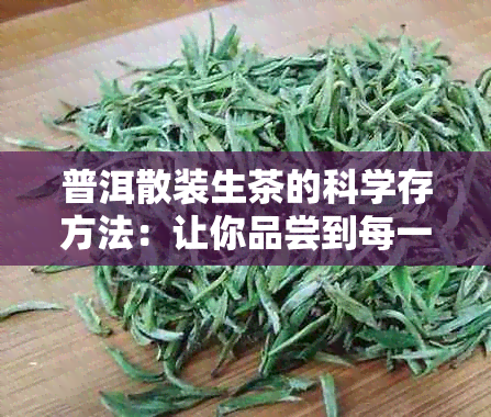 普洱散装生茶的科学存方法：让你品尝到每一滴茶香