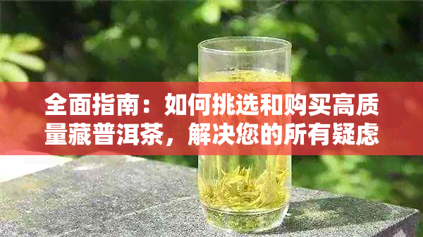 全面指南：如何挑选和购买高质量藏普洱茶，解决您的所有疑虑和问题