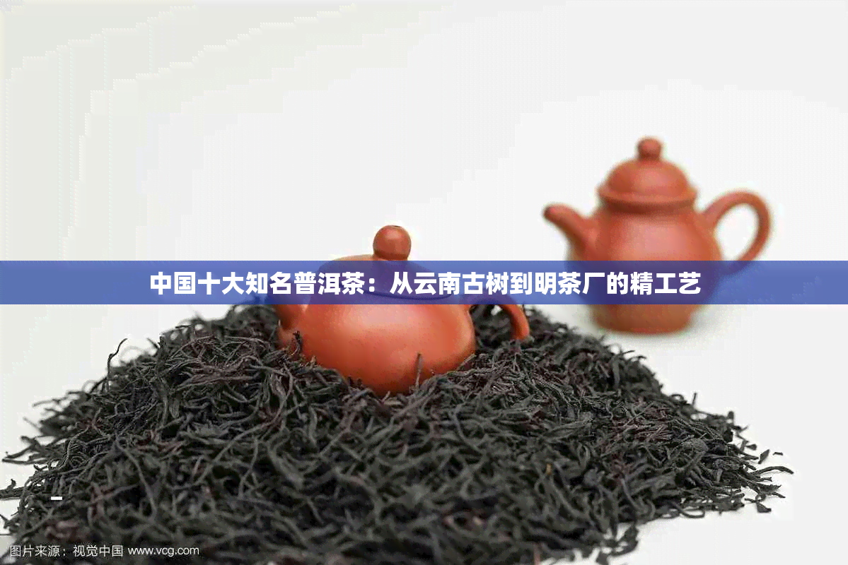 中国十大知名普洱茶：从云南古树到明茶厂的精工艺