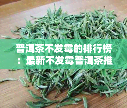 普洱茶不发霉的排行榜：最新不发霉普洱茶推荐，保证品质！