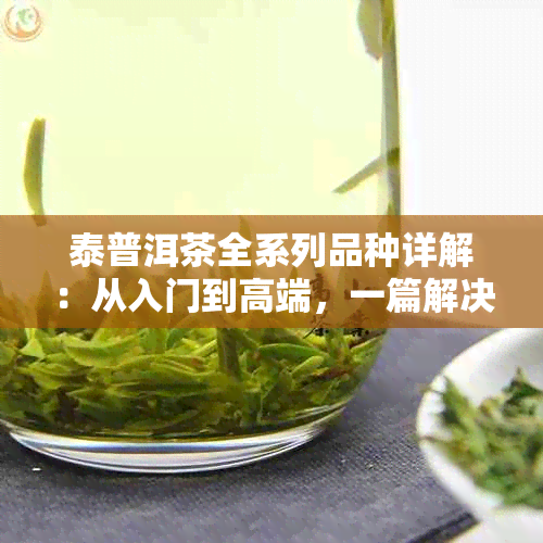 泰普洱茶全系列品种详解：从入门到高端，一篇解决所有疑问