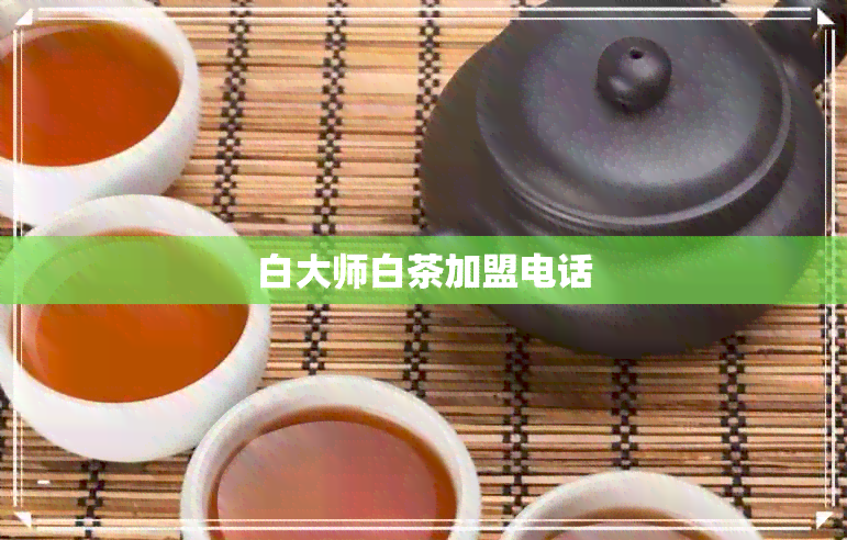 白大师白茶加盟电话