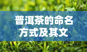 普洱茶的命名方式及其文化内涵