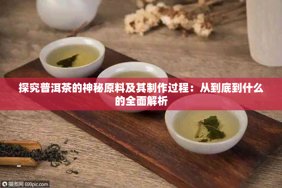 探究普洱茶的神秘原料及其制作过程：从到底到什么的全面解析