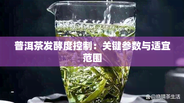 普洱茶发酵度控制：关键参数与适宜范围