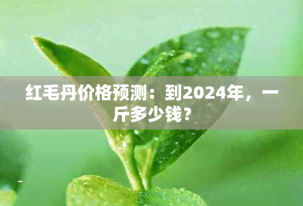 红毛丹价格预测：到2024年，一斤多少钱？