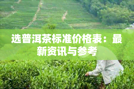 选普洱茶标准价格表：最新资讯与参考