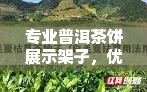 专业普洱茶饼展示架子，优质货源供应与批发价格比较