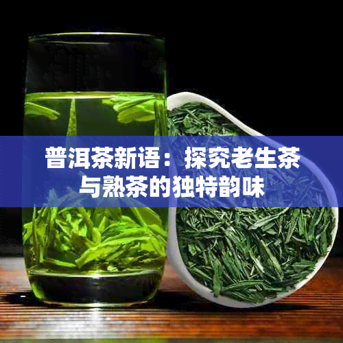 普洱茶新语：探究老生茶与熟茶的独特韵味