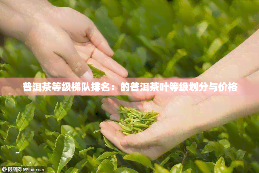 普洱茶等级梯队排名：的普洱茶叶等级划分与价格