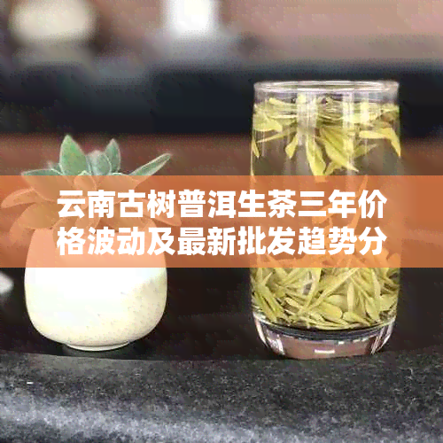 云南古树普洱生茶三年价格波动及最新批发趋势分析 - 来自的见解