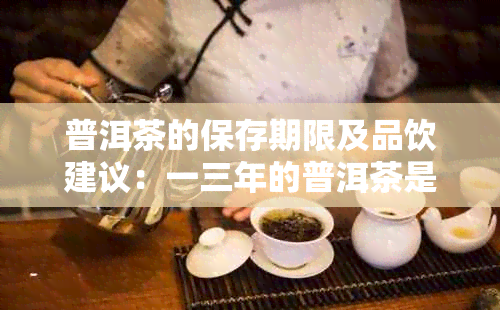 普洱茶的保存期限及品饮建议：一三年的普洱茶是否仍可享用？