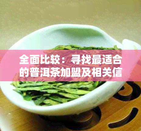 全面比较：寻找最适合的普洱茶加盟及相关信息