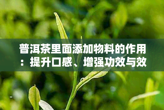 普洱茶里面添加物料的作用：提升口感、增强功效与效果，具体包括......