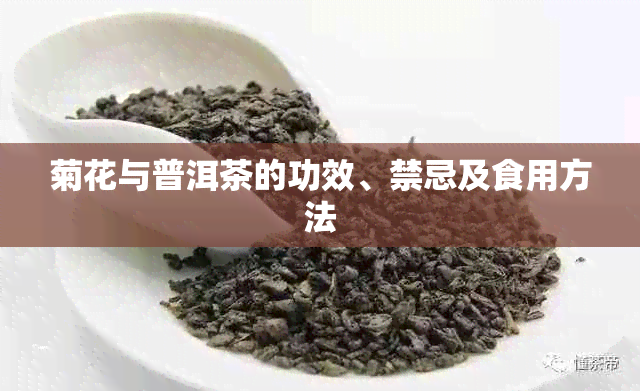 菊花与普洱茶的功效、禁忌及食用方法