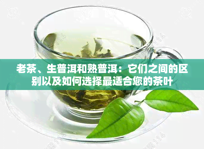 老茶、生普洱和熟普洱：它们之间的区别以及如何选择最适合您的茶叶