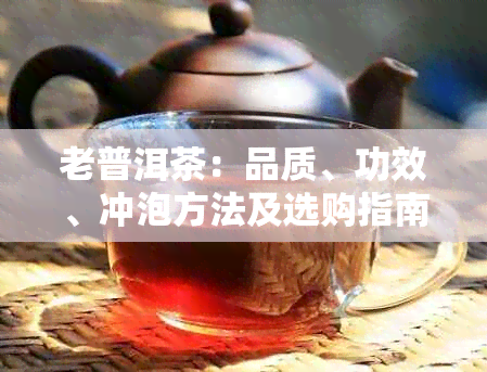 老普洱茶：品质、功效、冲泡方法及选购指南，全面解答您的疑问