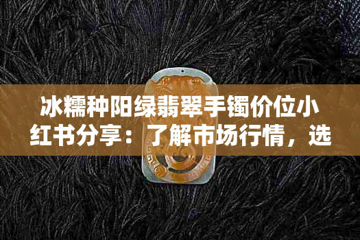 冰糯种阳绿翡翠手镯价位小红书分享：了解市场行情，选购技巧与推荐